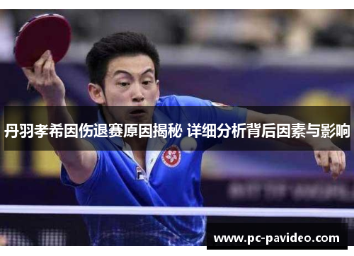 丹羽孝希因伤退赛原因揭秘 详细分析背后因素与影响