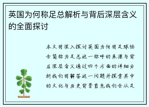 英国为何称足总解析与背后深层含义的全面探讨