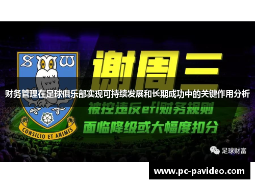财务管理在足球俱乐部实现可持续发展和长期成功中的关键作用分析