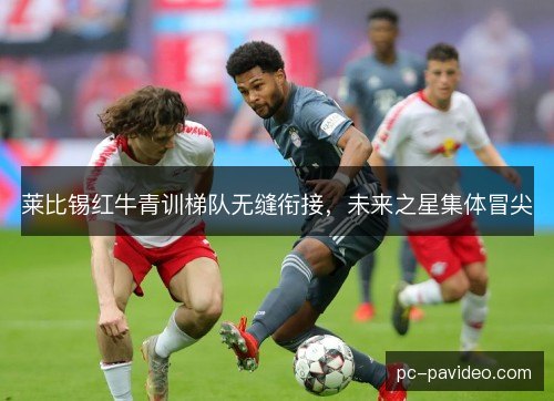 莱比锡红牛青训梯队无缝衔接，未来之星集体冒尖
